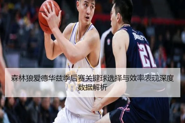 森林狼爱德华兹季后赛关键球选择与效率表现深度数据解析