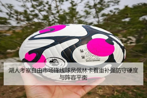 湖人考察自由市场锋线球员佩林卡着重补强防守硬度与阵容平衡